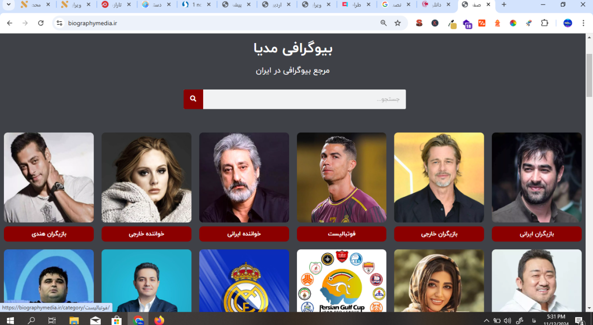 بیوگرافی مدیا