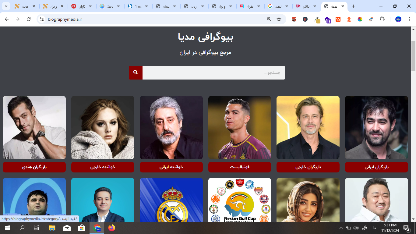 بیوگرافی مدیا